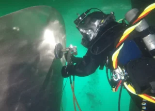propeller_polishing_1